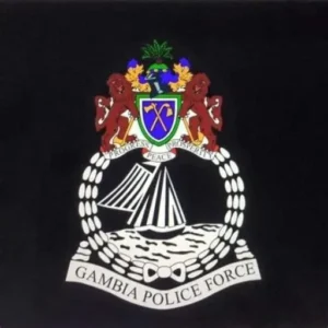 cropped-logo2.webp